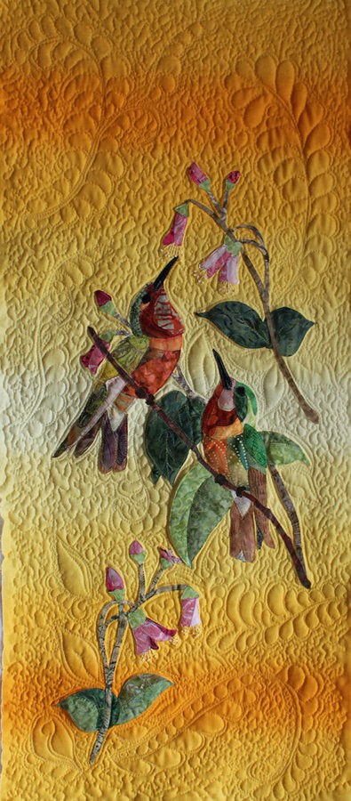 Hummingbird Garden