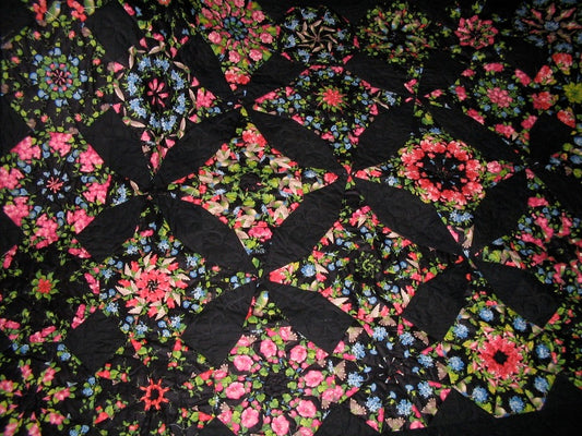 hummingbirds and fuchsia