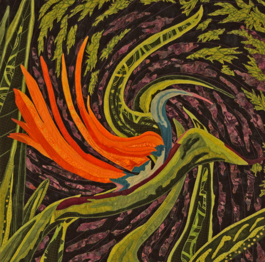 Bewitched Bird of Paradise
