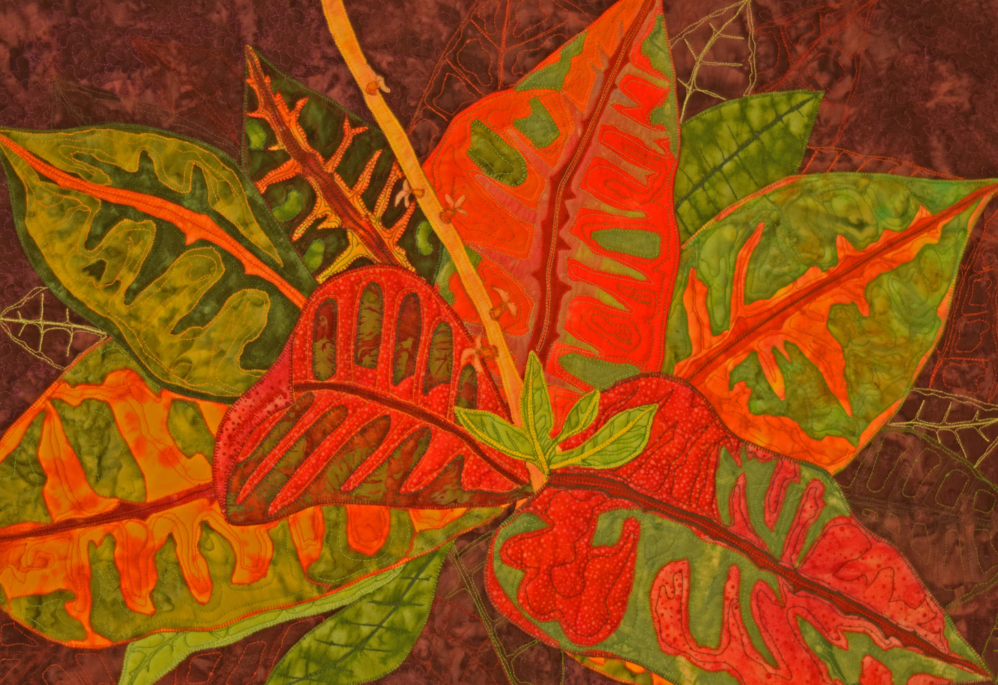Colorful Croton