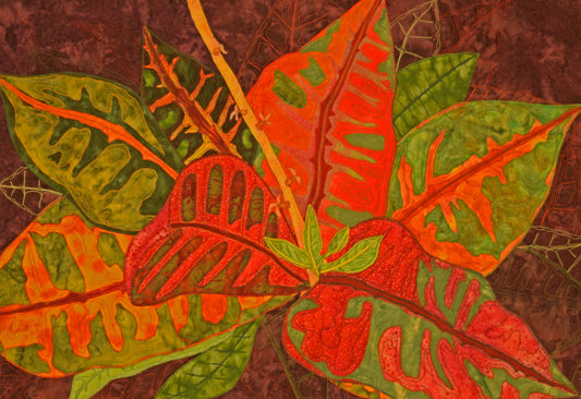 Colorful Croton