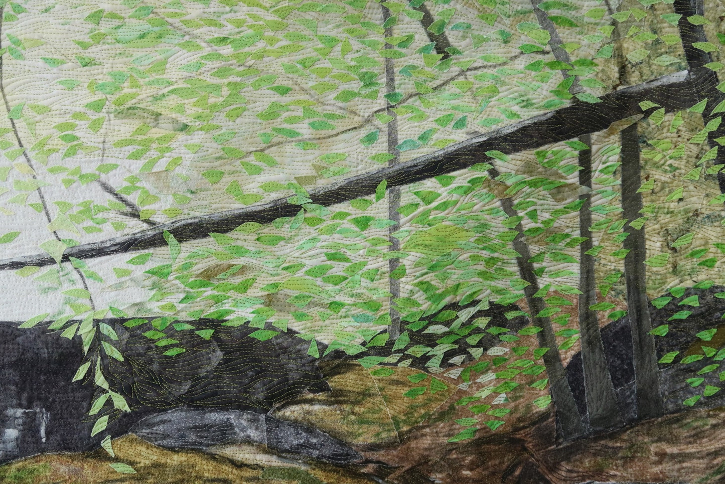 Dark Hollow Falls