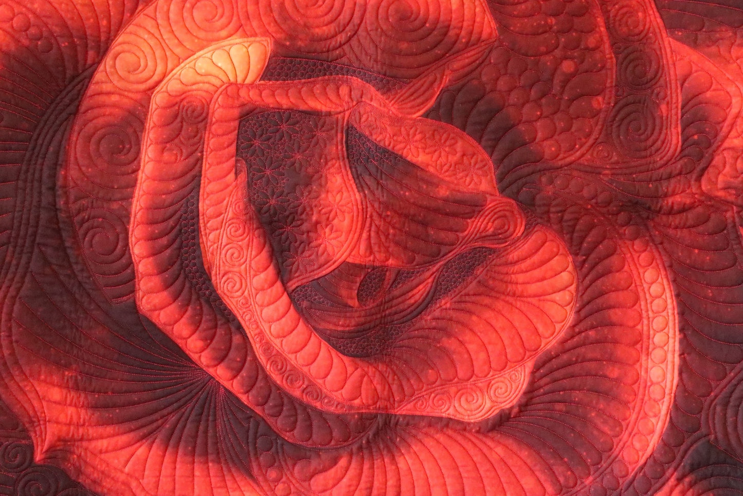 Dream Big Rose
