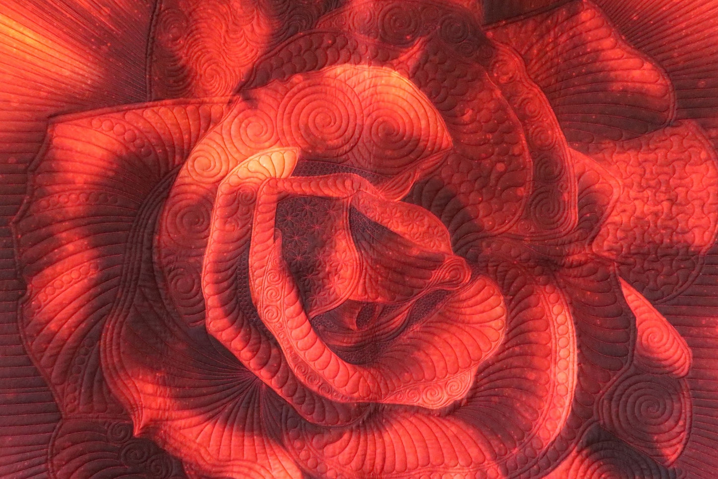 Dream Big Rose