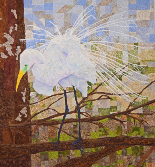 Egret in Courtship Display