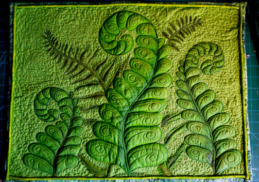 Ferns in Spring