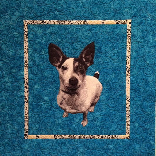 Jackeroo