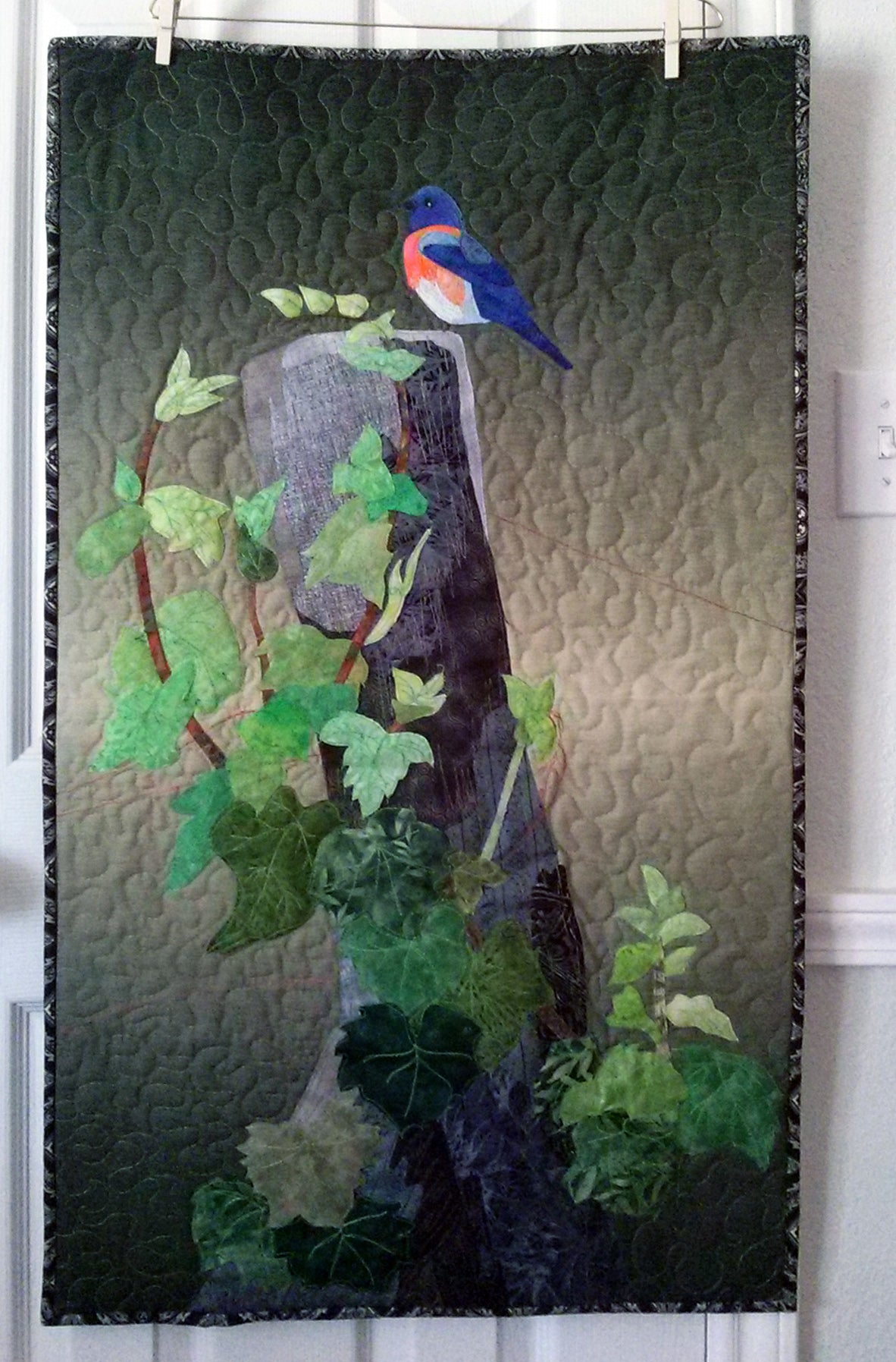 Meadow Bluebird