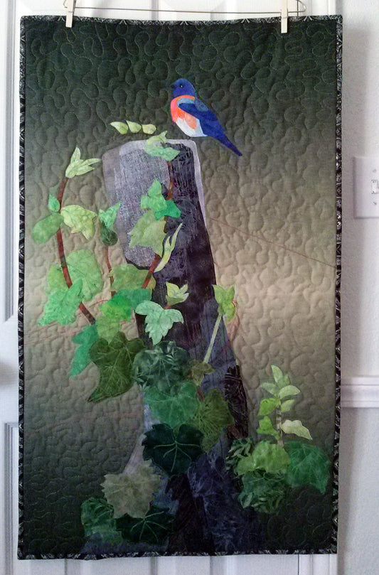 Meadow Bluebird