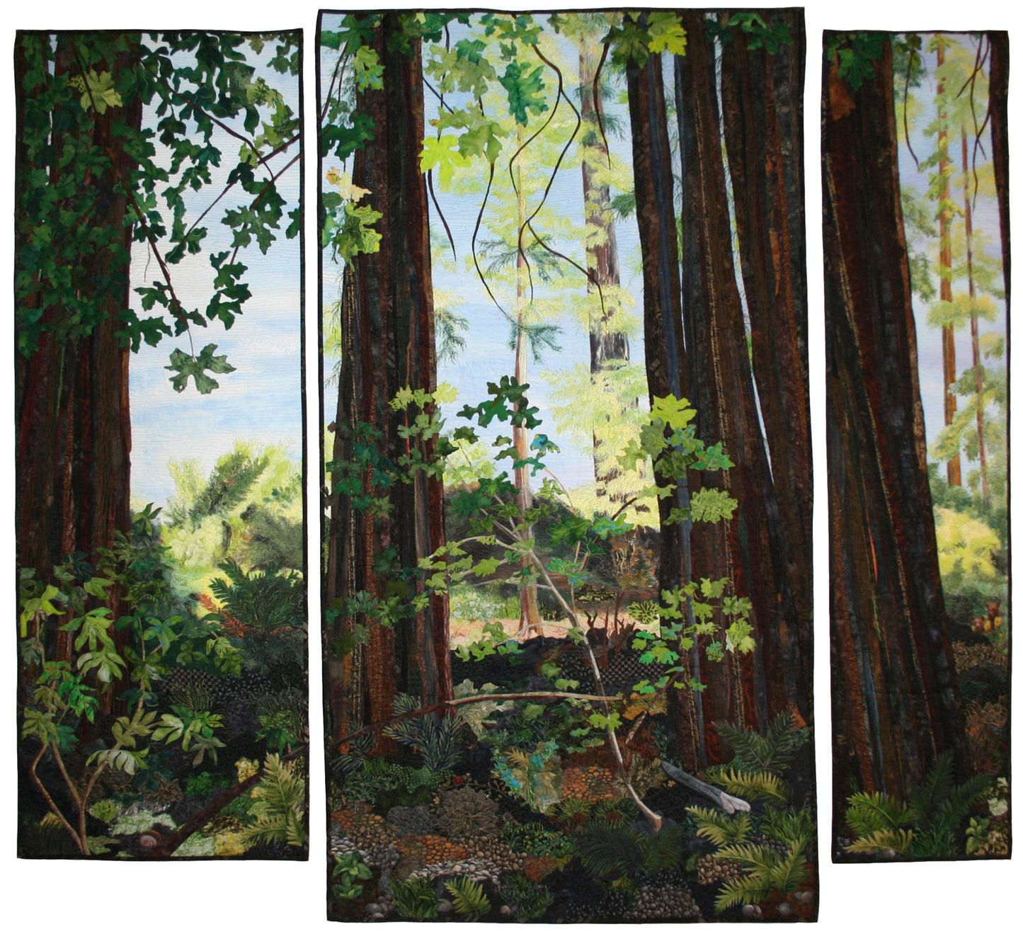 Sunlight in the Forest