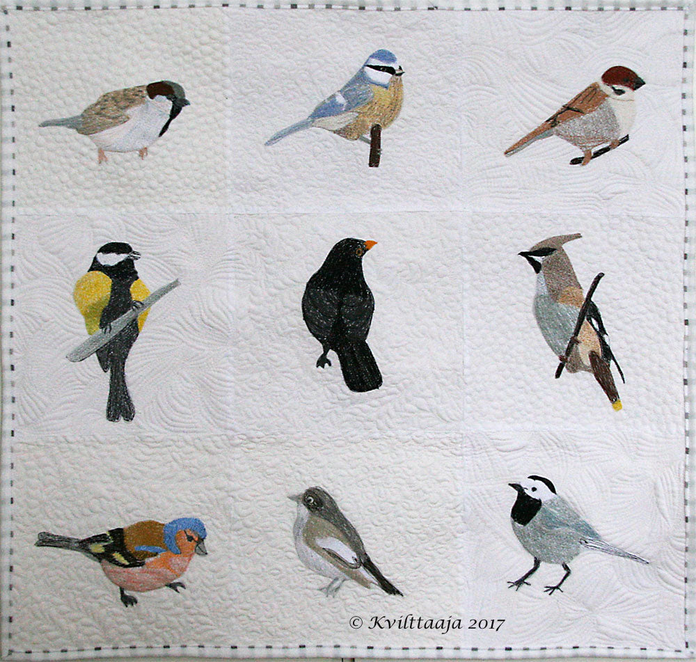 Yard Birds / Pihalinnut